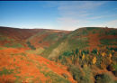 BATCH VALLEY